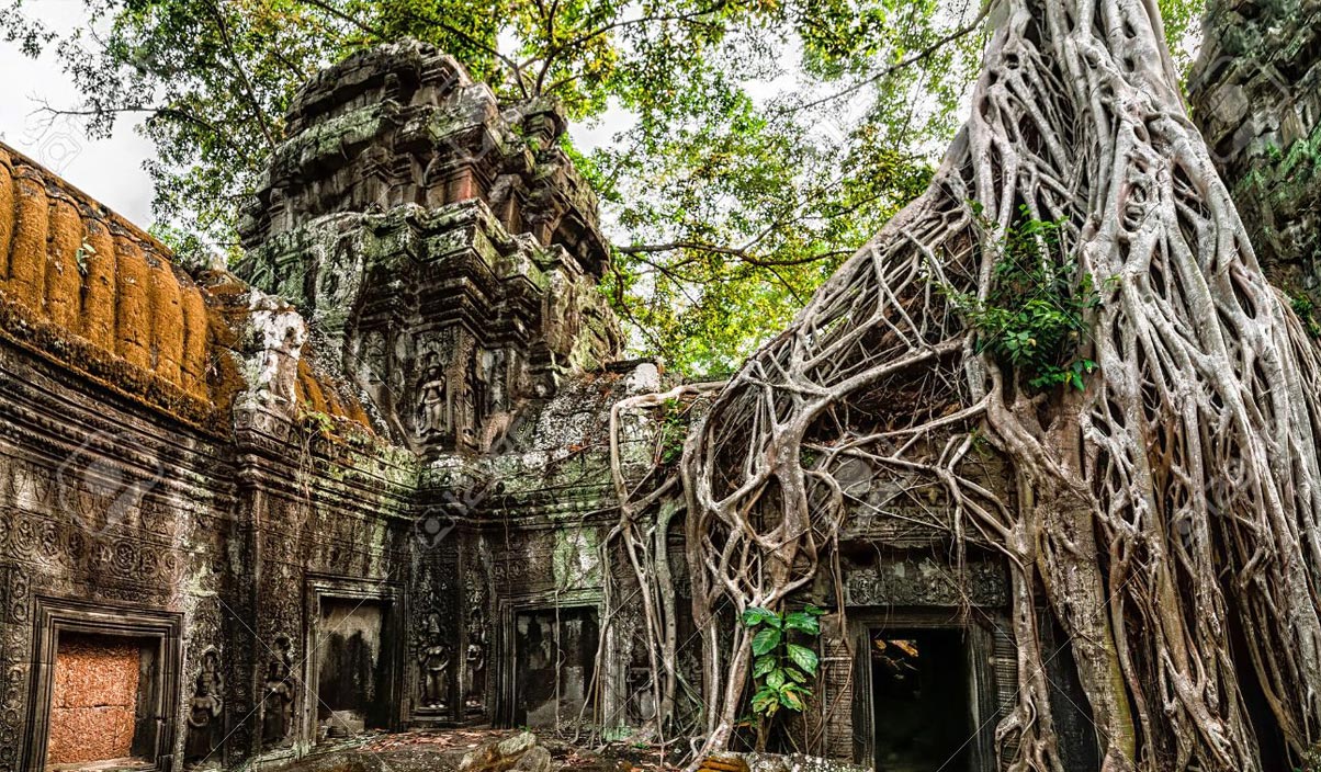 Banyan Tree Temple, Klenteng Ratusan Tahun Berselimut Akar Pohon