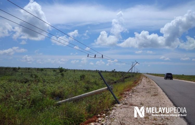 Tiang-tiang Listrik PLN Tumbang Bahayakan Pengguna Jalan Trans Batubi Natuna