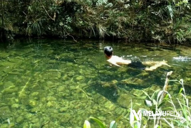 Dinginnya Air Danau Kembang Menaun di Puncak Bukit Permata Lingga