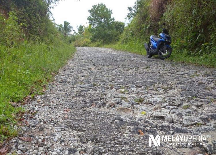 Miris, Belasan Tahun Jalan Menuju Desa Selemam di Natuna Ini Rusak Parah