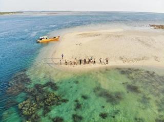 Serunya Diving di Pulau Mapur Kabupaten Bintan