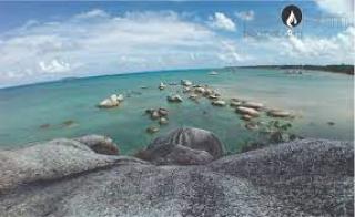 Ada Sarang Lebah Madu di Pantai Indah di Pulau Natuna