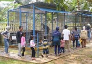 Mini Zoo Kijang, Satu-satunya Kebun Binatang di Bintan