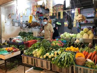 Musim Kemarau, Harga Sayur-Mayur di Batam Meroket