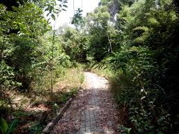 Mitos Hutan Misterius Berbentuk Hati di Tanjungpinang