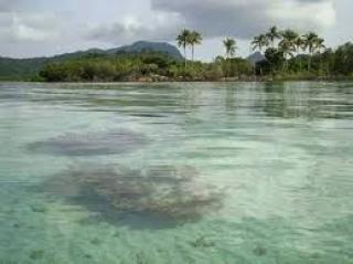 Ini Daya Tarik Pulau Tambelan, yang Dijual Rp 1,4 Triliun di Medsos