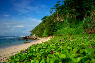 Pantai Momong, Surga Cantik di Anambas dengan Pasir Putih Bersih