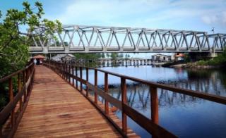 Wisata Mangrove Semitan, Ruang Edukasi Hutan Bakau