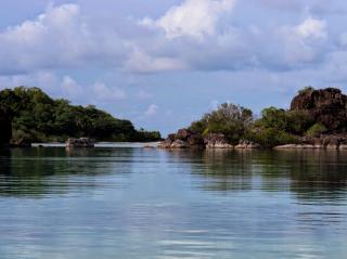 Pulau Lingai, Gugusan Kecil di Anambas yang Punya Pohon Kurma