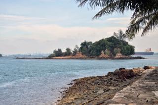 Pulau Biola, Surganya Kepri yang Dipenuhi Bonsai Santigi