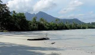 Asyiknya Berjemur di Bawah Pohon Cemara di Pantai Sebagul