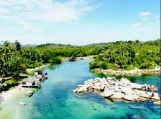 Pengudang Bintan Mangrove yang Jadi Kawasan Konservasi Dugong