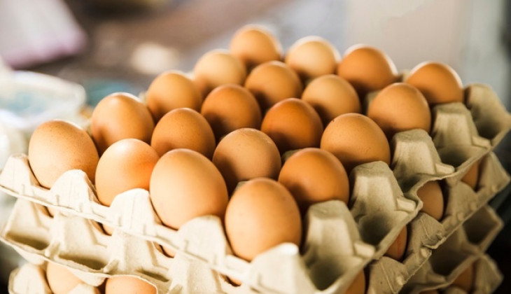 Pedagang Keluhkan Tingginya Harga Telur Ayam di Batam Jelang Nataru