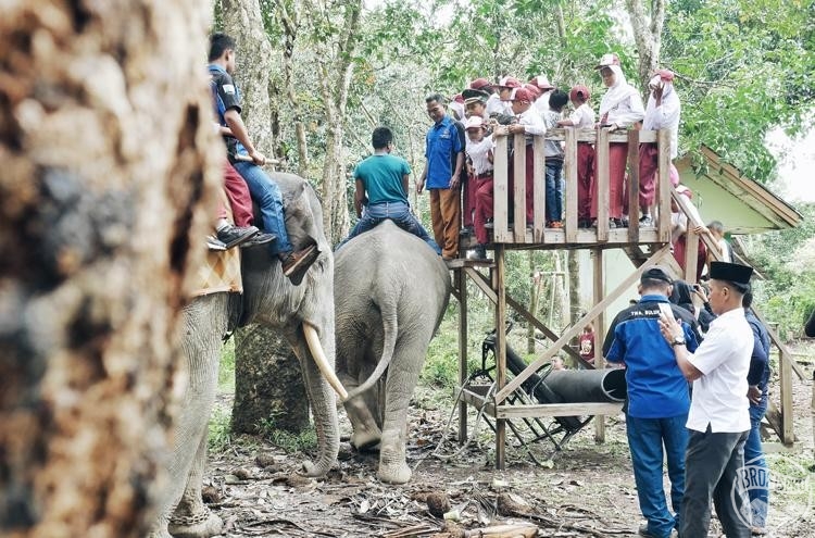 Sensasi Memancing dan Naik Gajah di Desa Buluh Cina Riau