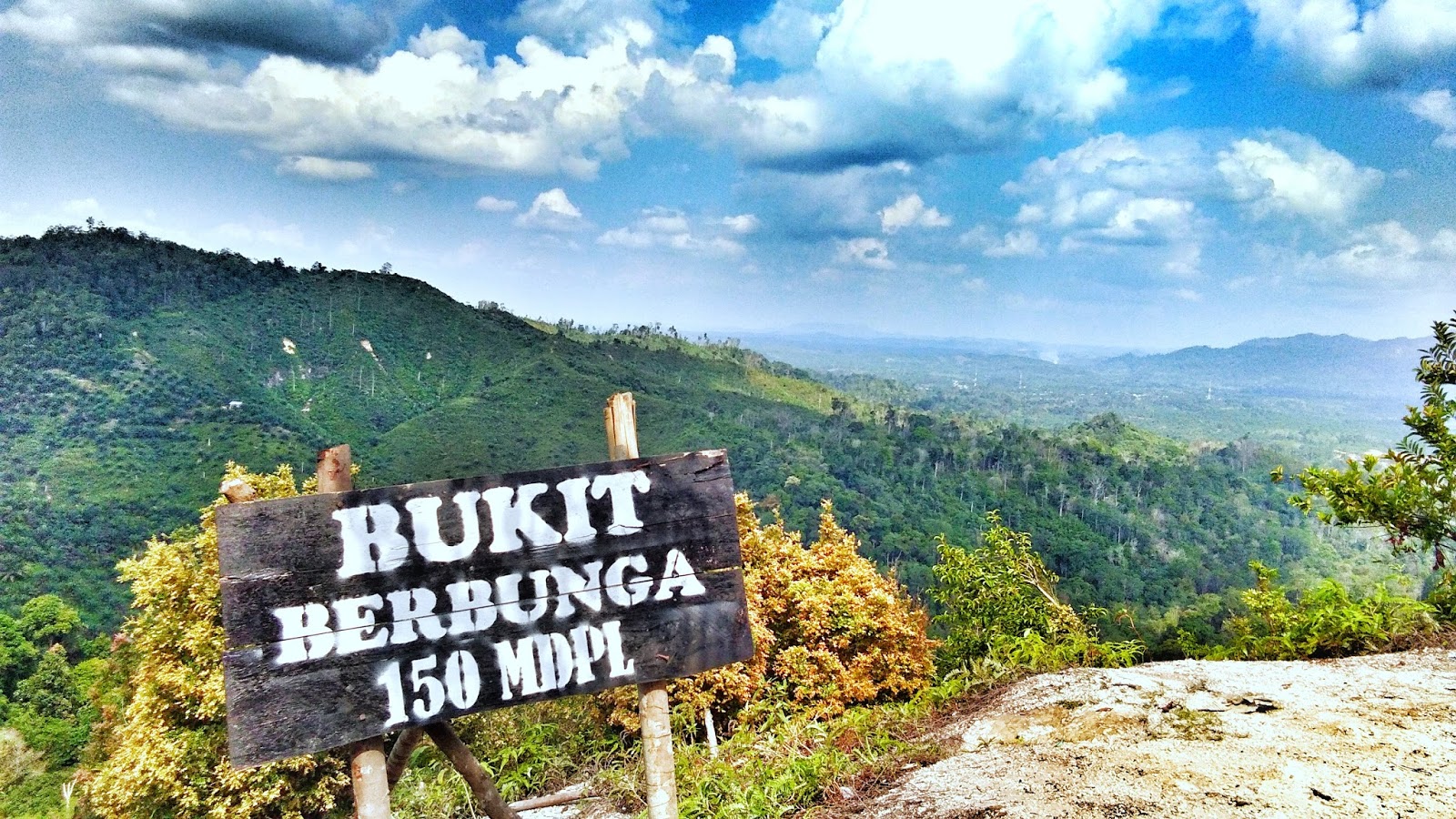 Bukit Berbunga, Potensi Wisata di Tembilahan yang Mempesona