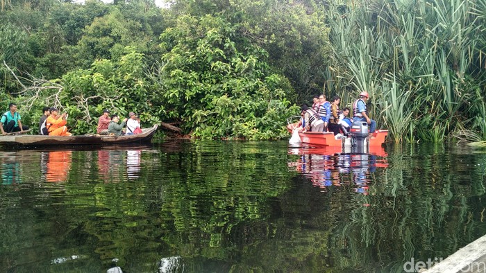 Mengelilingi Taman Nasional Danau Zamrud di Pedalaman Sungai Apit Riau