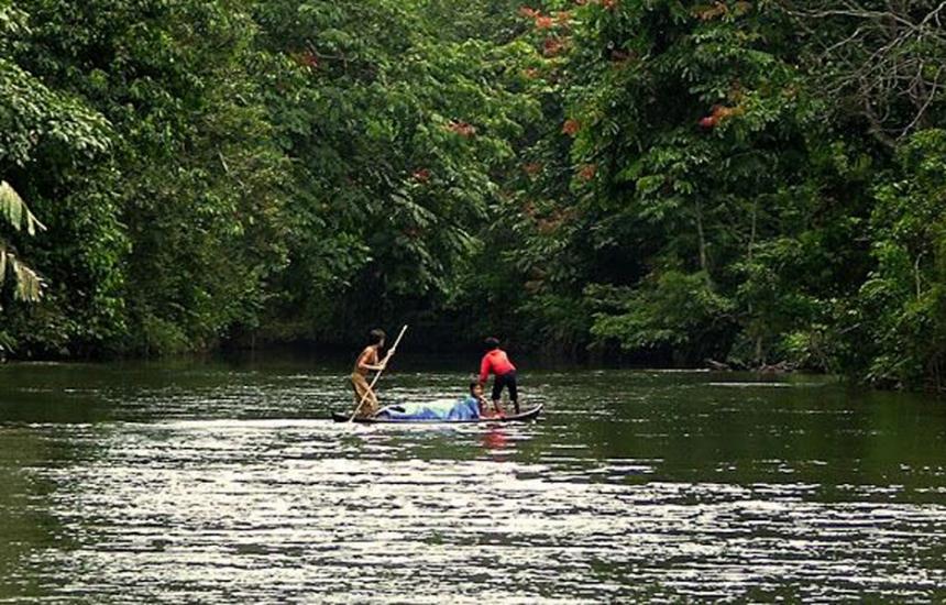 Menyatu dengan Alam di Hutan Wisata Rimbo Terantang