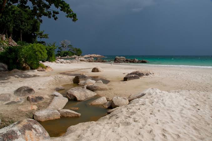 Hijaunya Hutan Bakau hingga Birunya Laut di Pantai Tanjung Berakit