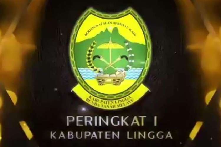 Hebat, Lingga Raih Predikat Penyaluran DAK Fisik 2021 Terbaik se-Kepri