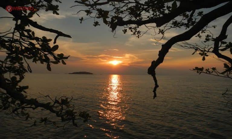 Memancing dan Berkeliling Hutan Bakau Pakai Sampan di Pantai Timun