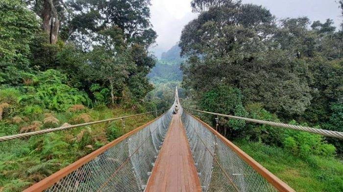 Keren! Indonesia Punya Jembatan Gantung Terpanjang se-Asia Tenggara