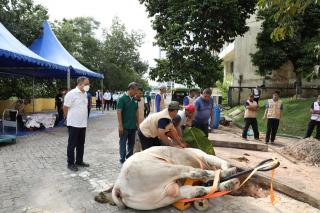 Momen Idul Adha 1443 H, BP Batam Sembelih Hewan Qurban