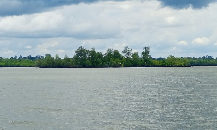 Legenda Pulau Dedap Durhaka di Meranti, Serupa Kisah Malin Kundang yang Terkena Sumpahan