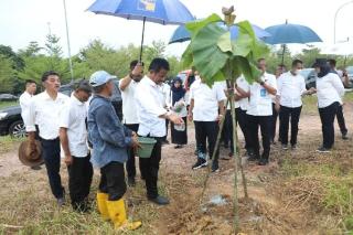 Tinjau Progres Pertumbuhan Pohon Jati Emas, Kepala BP Batam Ajak Warga Rawat Bersama