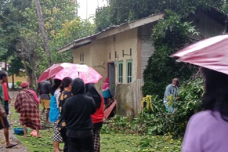 Satu Unit Rumah Warga Pulau Duyung di Lingga Rusak Ditimpa Pohon