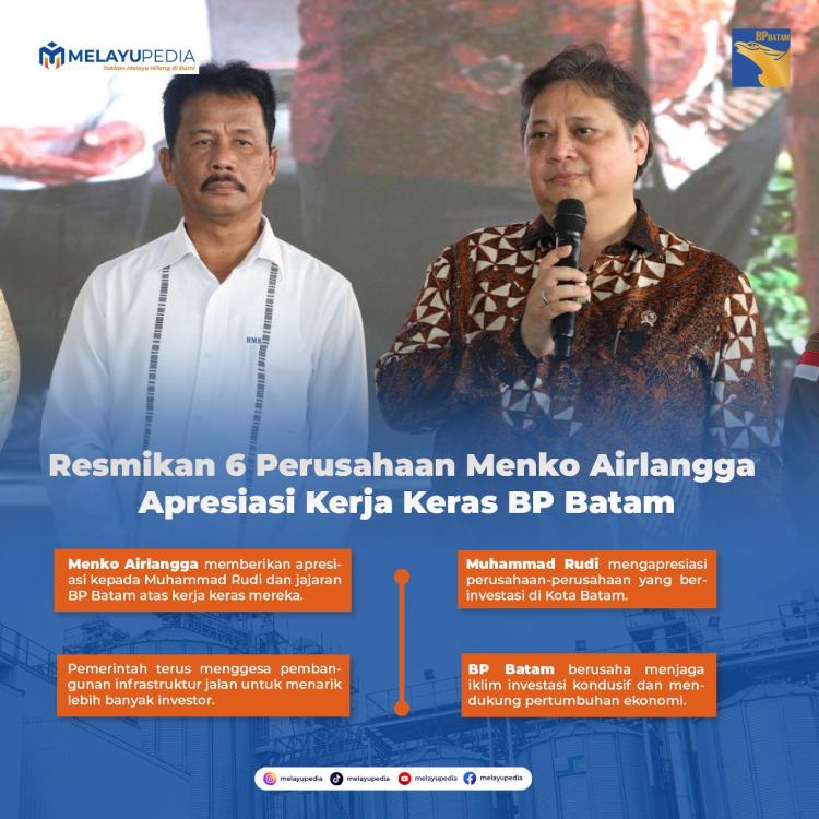 INFOGRAFIS: Resmikan 6 Perusahaan, Menko Airlangga Apresiasi Kerja Keras BP Batam