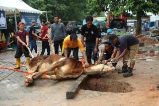 BP Batam Potong Sapi hingga Launching Tabungan Kurban di Idul Adha 2023