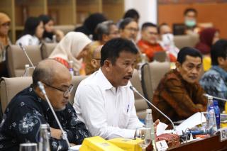 BP Batam Hadiri Rapat DPR RI untuk Mendiskusikan Pengembangan Rempang Eco-City